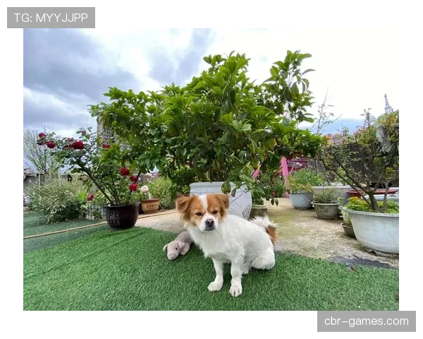 萨卡短假期分享创意灵感与休闲时光，精彩瞬间引热议